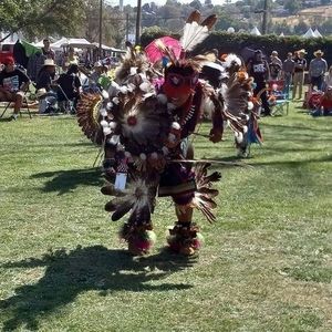 Meet your Posher, Wilbur